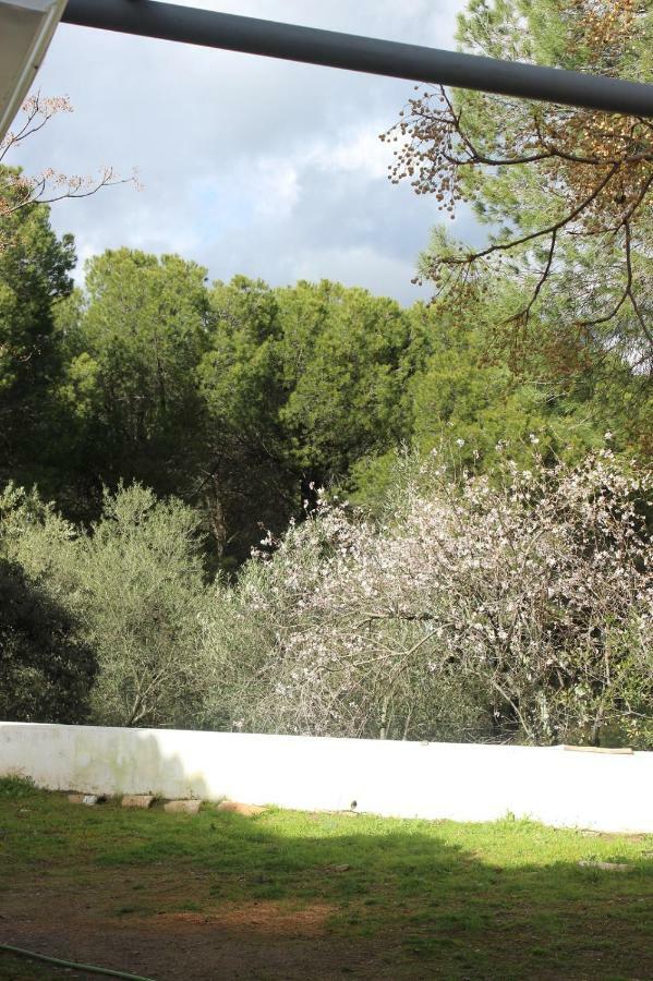 Vina Concepcion Villa Andújar Екстериор снимка