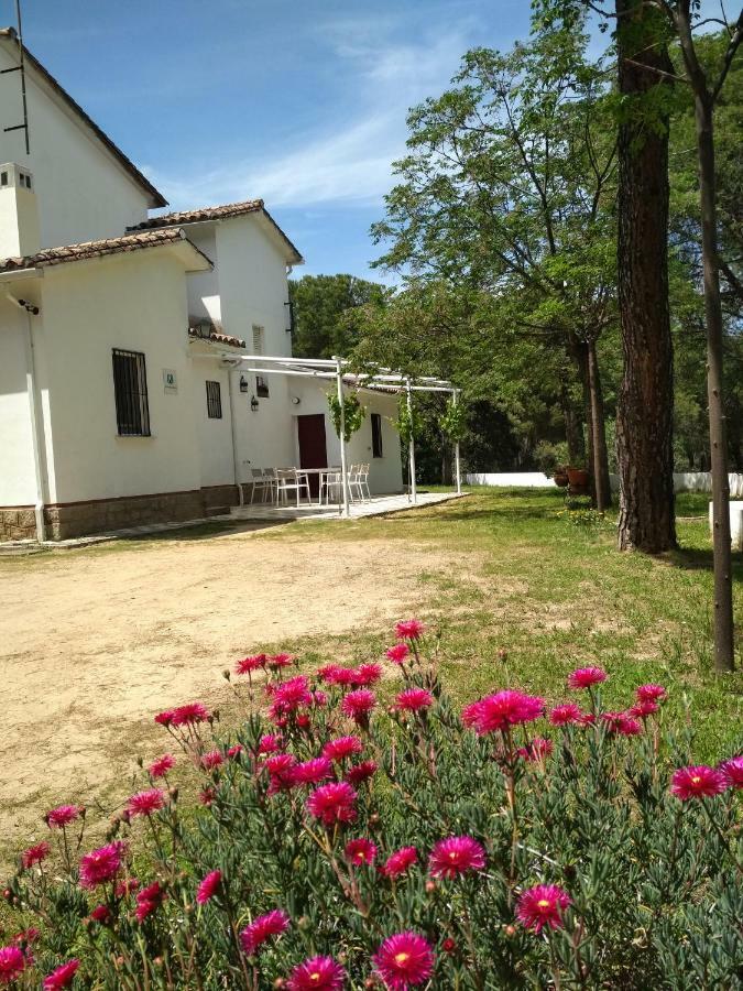 Vina Concepcion Villa Andújar Екстериор снимка